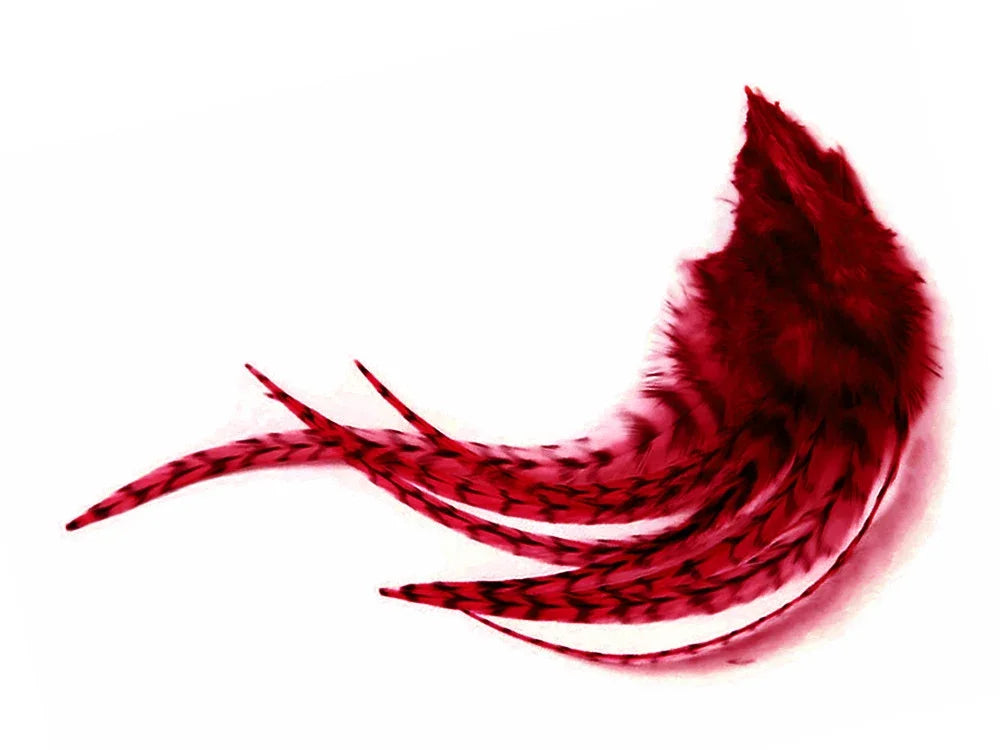 Vibrant deep red decorative feathers for DIY crafts and fashion accessories.