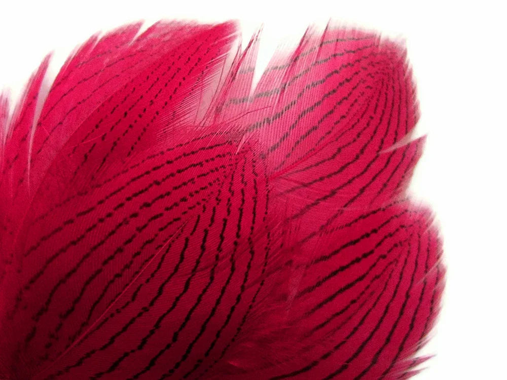 Vibrant pink feathers with black striped patterns for crafts and fashion DIY supplies.