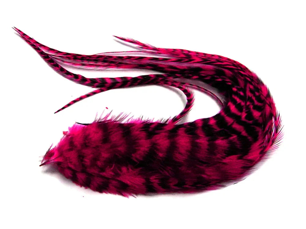 Vibrant pink and black patterned feathers for DIY crafts and fashion decor.