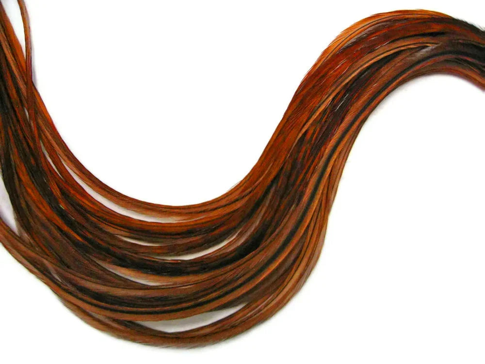 Long reddish-brown and black variegated craft feathers for DIY fashion and decor.