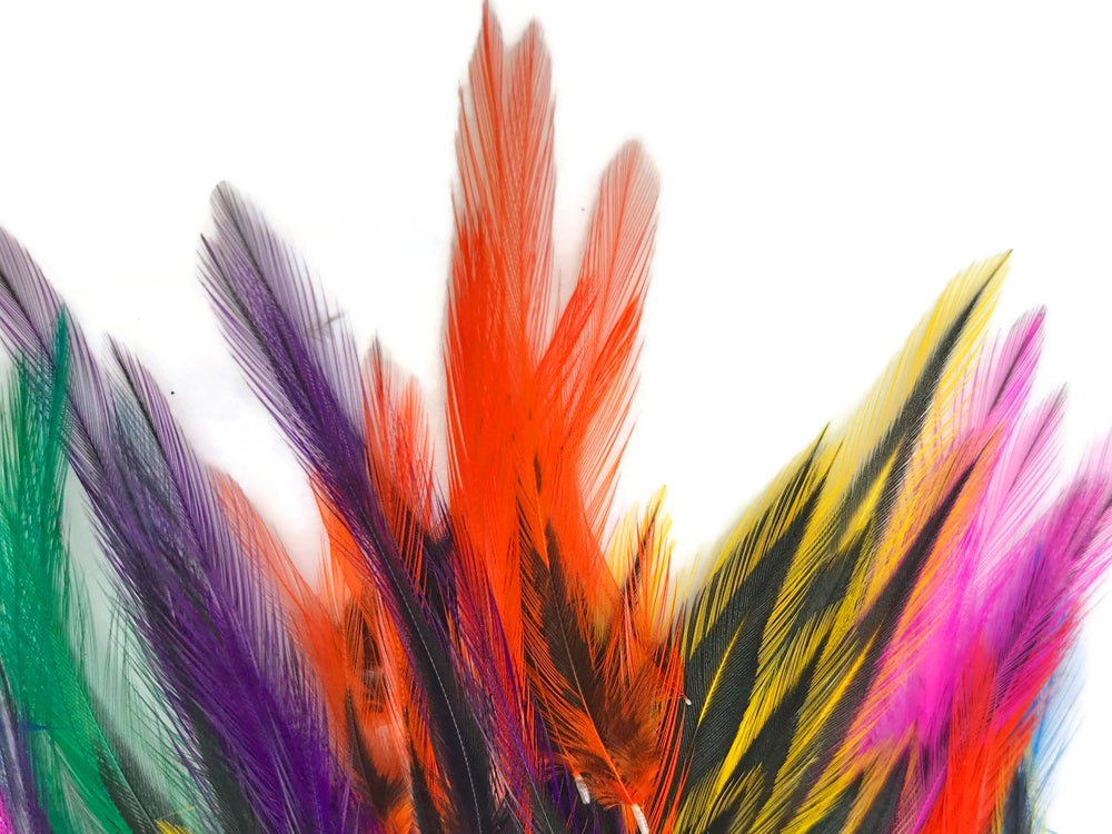 30-50 Pieces - Colorful Mini Laced Hen Cape BLW Whiting Farms Feathers 0.02 oz. Wholesale (bulk)