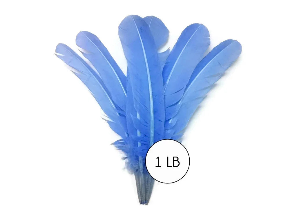 Bundle of vibrant blue craft feathers for DIY fashion and decor, 1 lb weight.