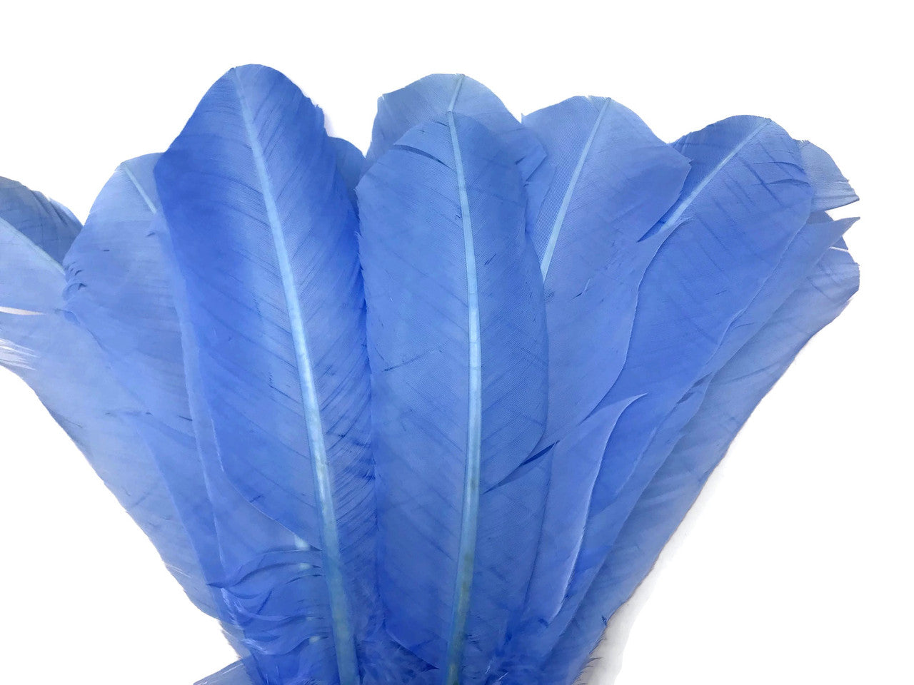 1/4 Lb - Copenhagen Blue Turkey Tom Rounds Secondary Wing Quill Wholesale Feathers (Bulk)