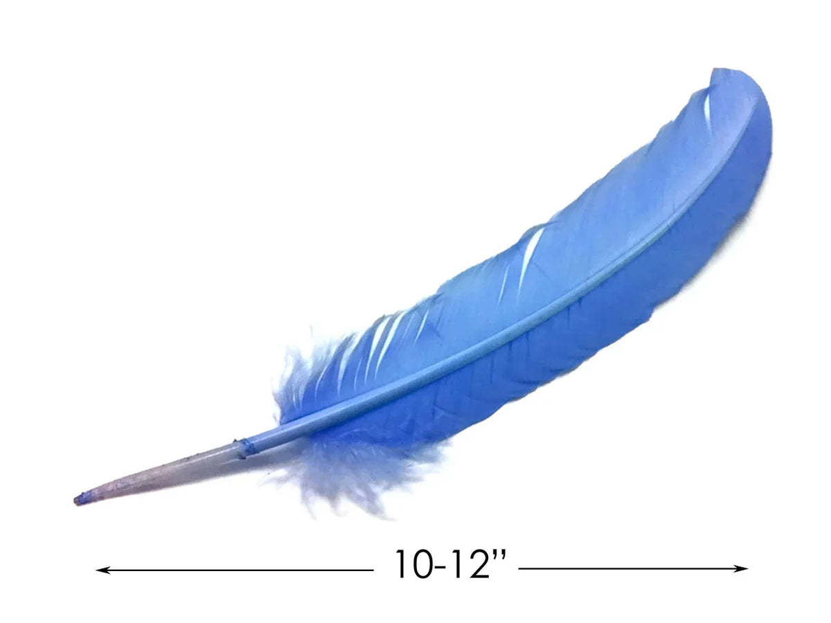 Single bright blue craft feather, 10-12 inches long, for DIY fashion and décor projects.