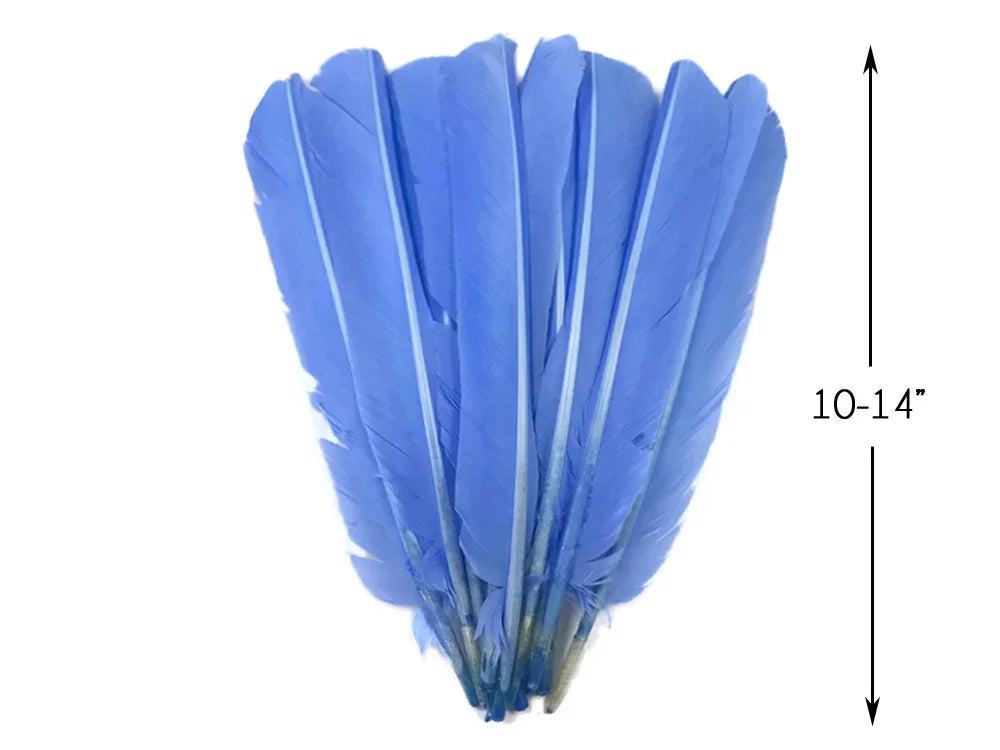 Bundle of vibrant blue craft feathers measuring 10-14 inches in length.