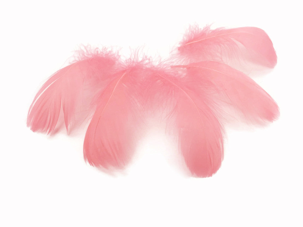 1/4 Lb - 2-3" Coral Goose Coquille Loose Wholesale Feathers (Bulk)