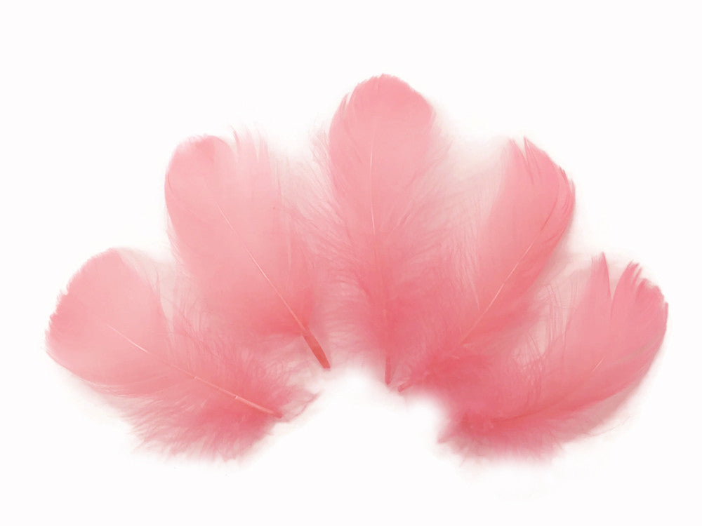 1/4 Lb - 2-3" Coral Goose Coquille Loose Wholesale Feathers (Bulk)