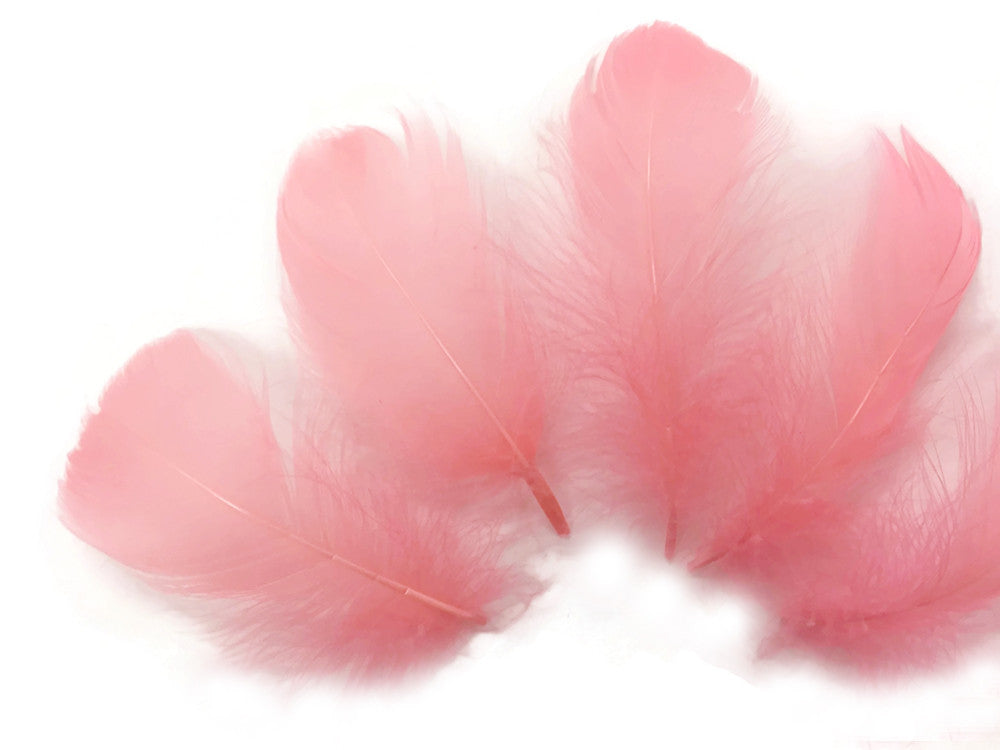 1/4 Lb - 2-3" Coral Goose Coquille Loose Wholesale Feathers (Bulk)