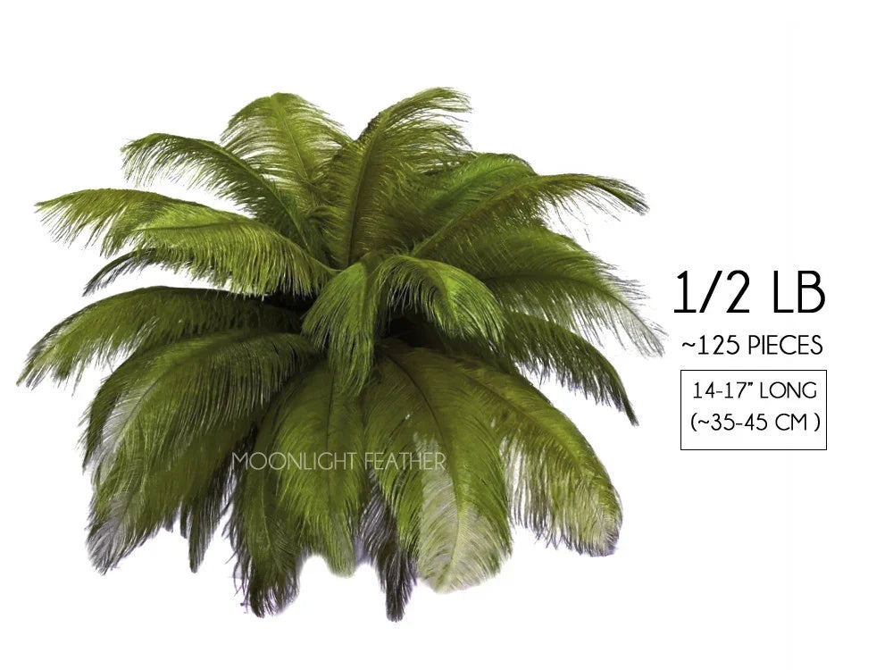 Bundle of 125 green ostrich feathers, 14-17 inches long, for crafts and fashion decor.