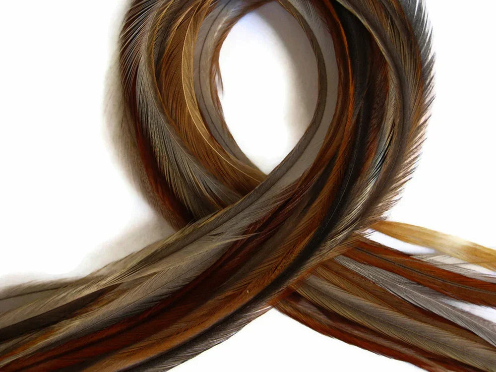 Natural brown and tan feathers arranged in a decorative loop for crafts and fashion.