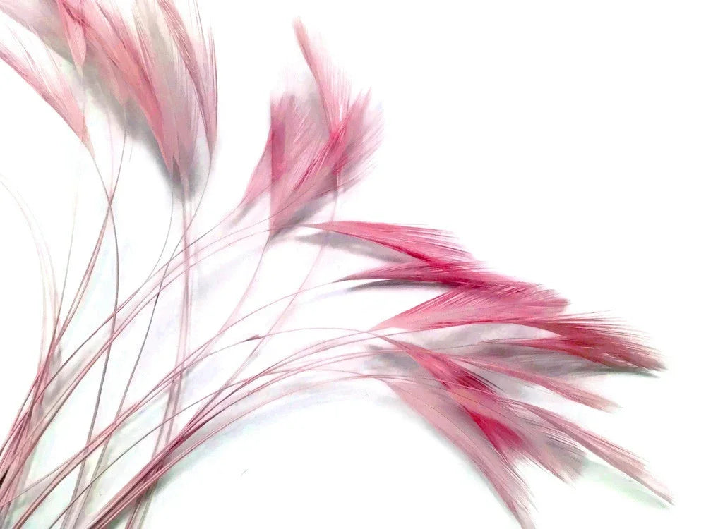 Soft pink dyed feathers for DIY crafts and fashion accessories on a white background.