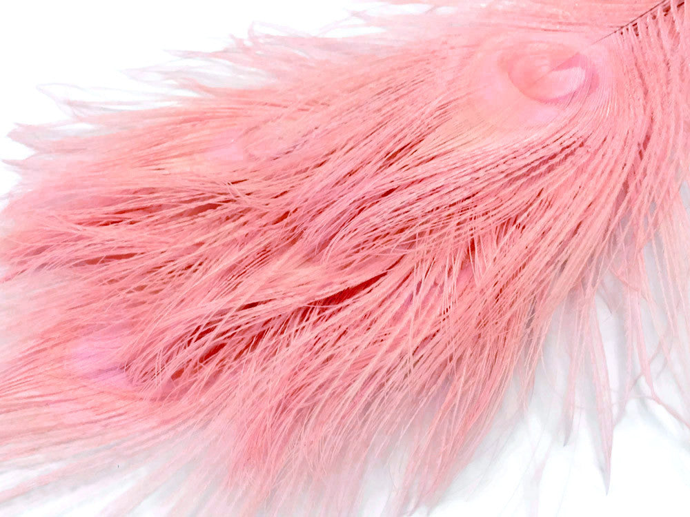 50 Pieces – Dusty Pink Bleached & Dyed Peacock Tail Eye Wholesale Feathers (Bulk) 10-12” Long