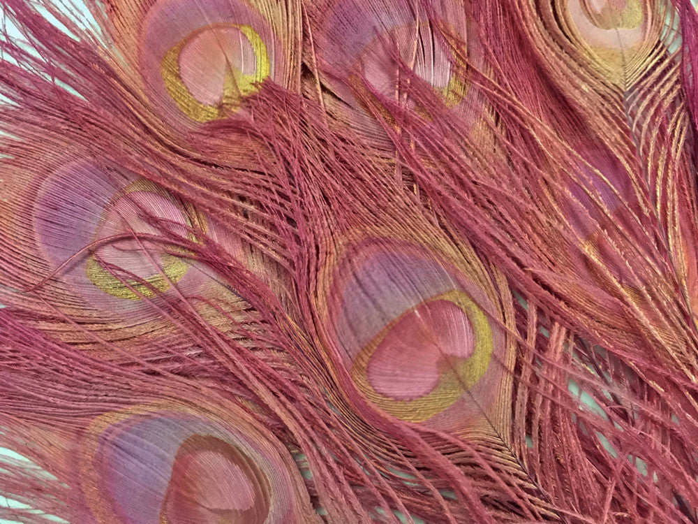 100 Pieces - Taupe Bleached And Dyed Peacock Tail Eye Wholesale Feathers (Bulk)