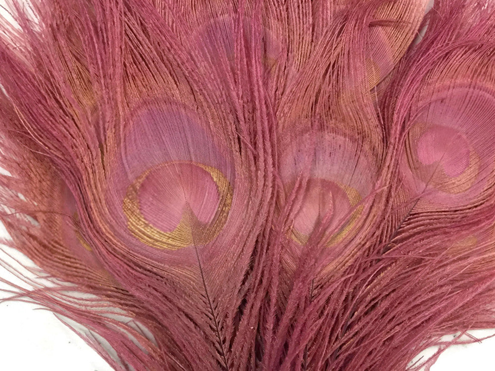50 Pieces – Taupe Bleached & Dyed Peacock Tail Eye Wholesale Feathers (Bulk) 10-12” Long