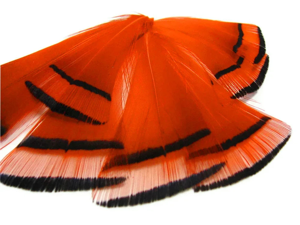 1 Dozen - Orange Dyed Golden Pheasant Tippet Neck Plumage Feather