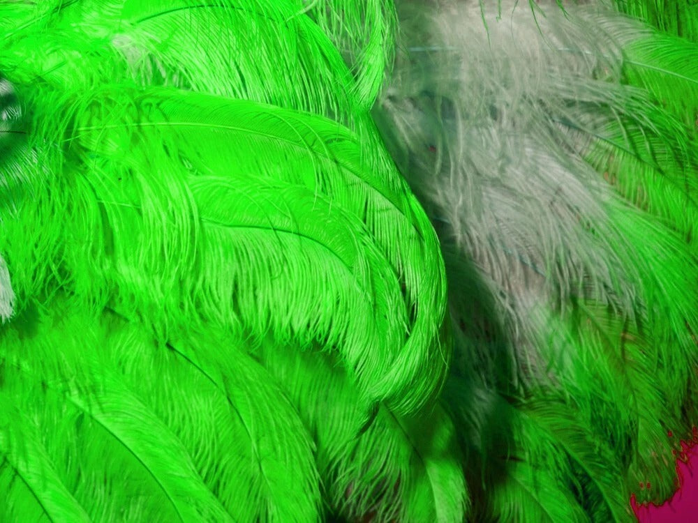 1/2 Lb. - 25-29" Lime Green Large Ostrich Wing Plume Wholesale Feathers (Bulk)