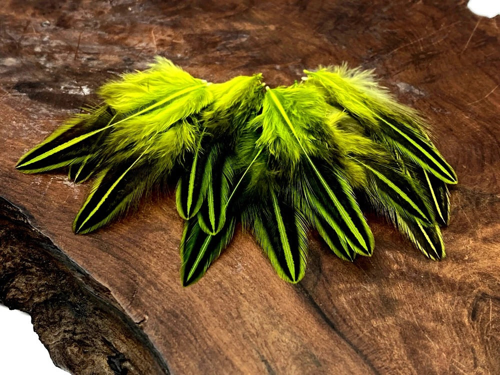 10 Pieces - Chartreuse Green Jungle Cock Loose Plumage Feather
