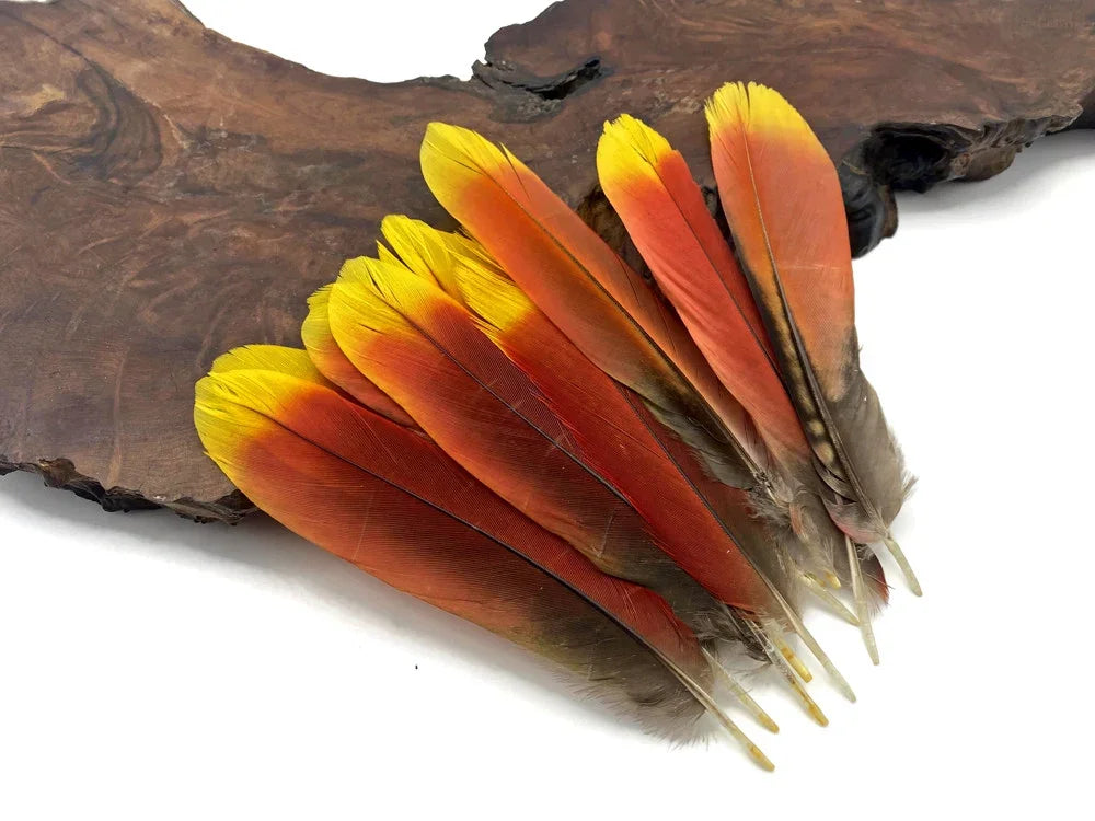 Vibrant orange and yellow bird feathers for DIY crafts and fashion decor.