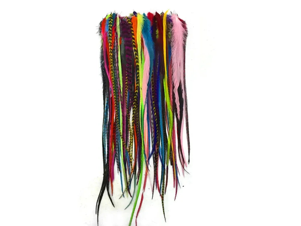 Assorted vibrant colorful long feathers for DIY crafts, fashion, and costume decor.