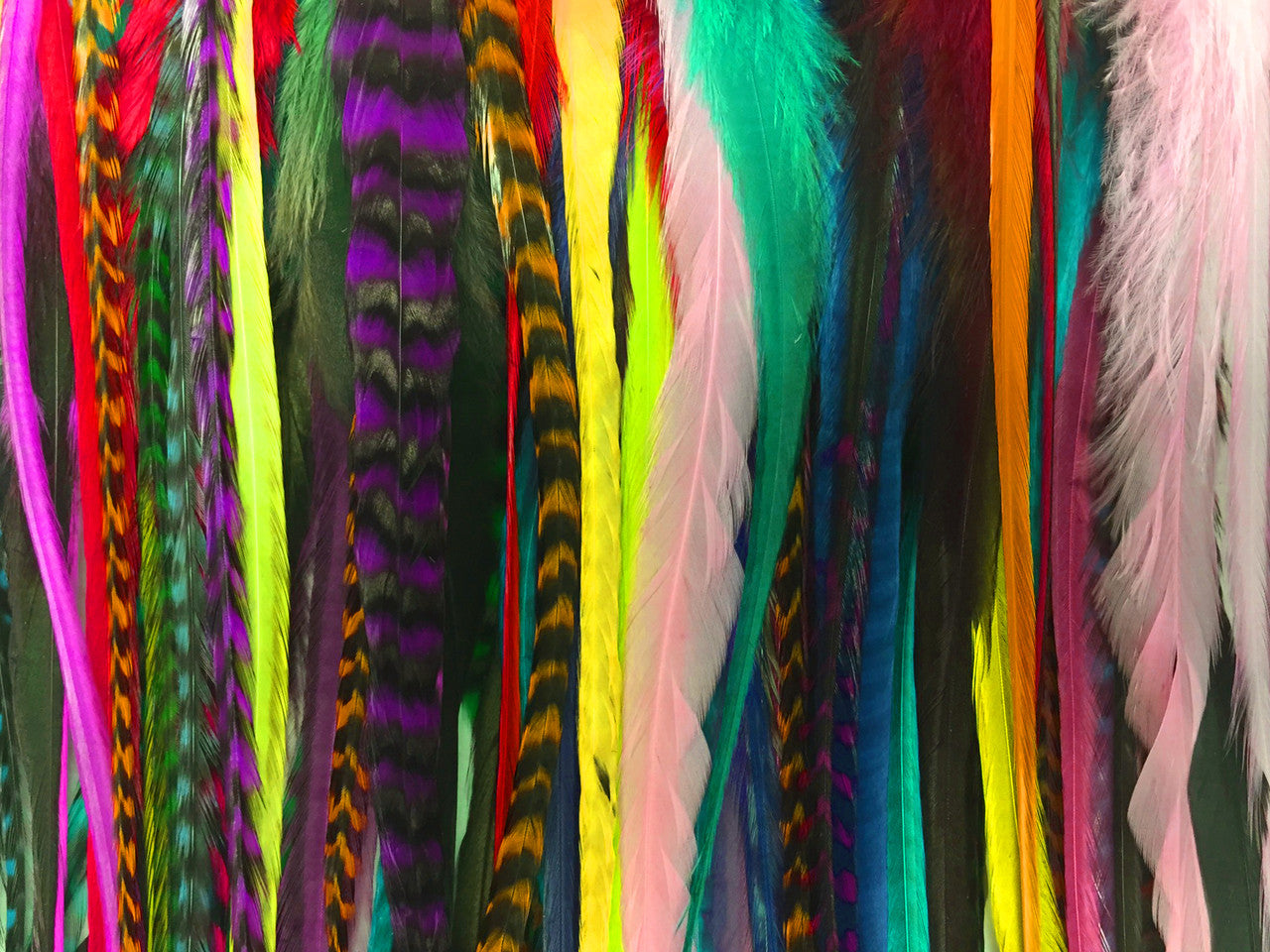 30 Pieces - Wholesale XL Thick Long Mix Whiting Farm Rooster Saddle Hair Extension Feathers (Bulk)