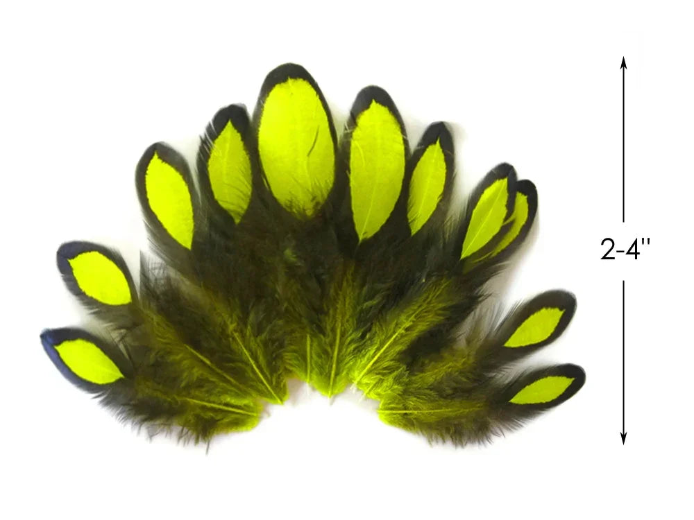 Vibrant yellow and black natural feathers for DIY crafts and fashion decor, 2-4 inches.