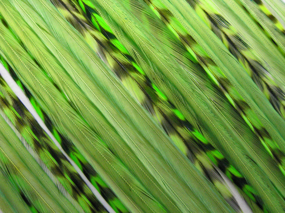 Fresh Lime Duo Pack - Hair Extension Whiting Farm Feather Stainless Tool Kit & Silicone Beads