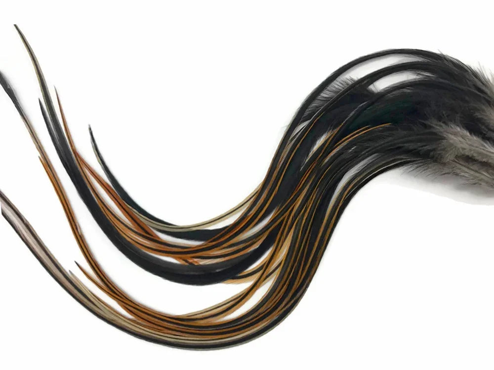 Long black and brown decorative feathers for craft and fashion DIY projects.