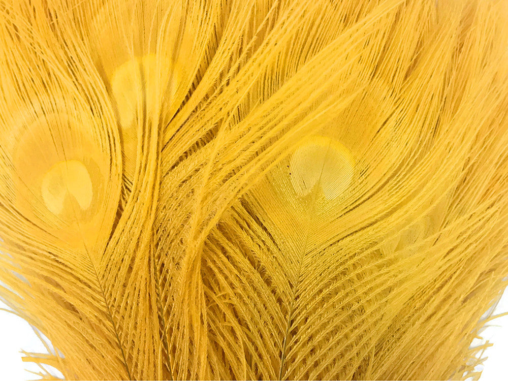 50 Pieces - 30-35" Golden Yellow Bleached & Dyed Peacock Tail Eye Wholesale Feathers (Bulk)