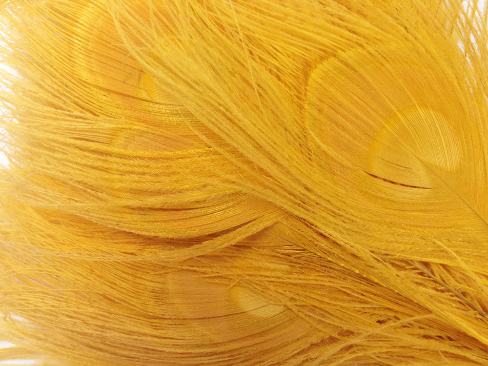 50 Pieces - 30-35" Golden Yellow Bleached & Dyed Peacock Tail Eye Wholesale Feathers (Bulk)