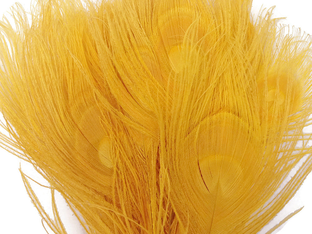50 Pieces - 30-35" Golden Yellow Bleached & Dyed Peacock Tail Eye Wholesale Feathers (Bulk)