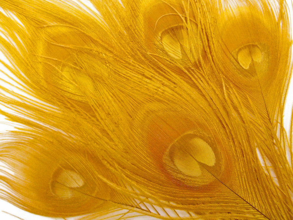 50 Pieces - 30-35" Golden Yellow Bleached & Dyed Peacock Tail Eye Wholesale Feathers (Bulk)