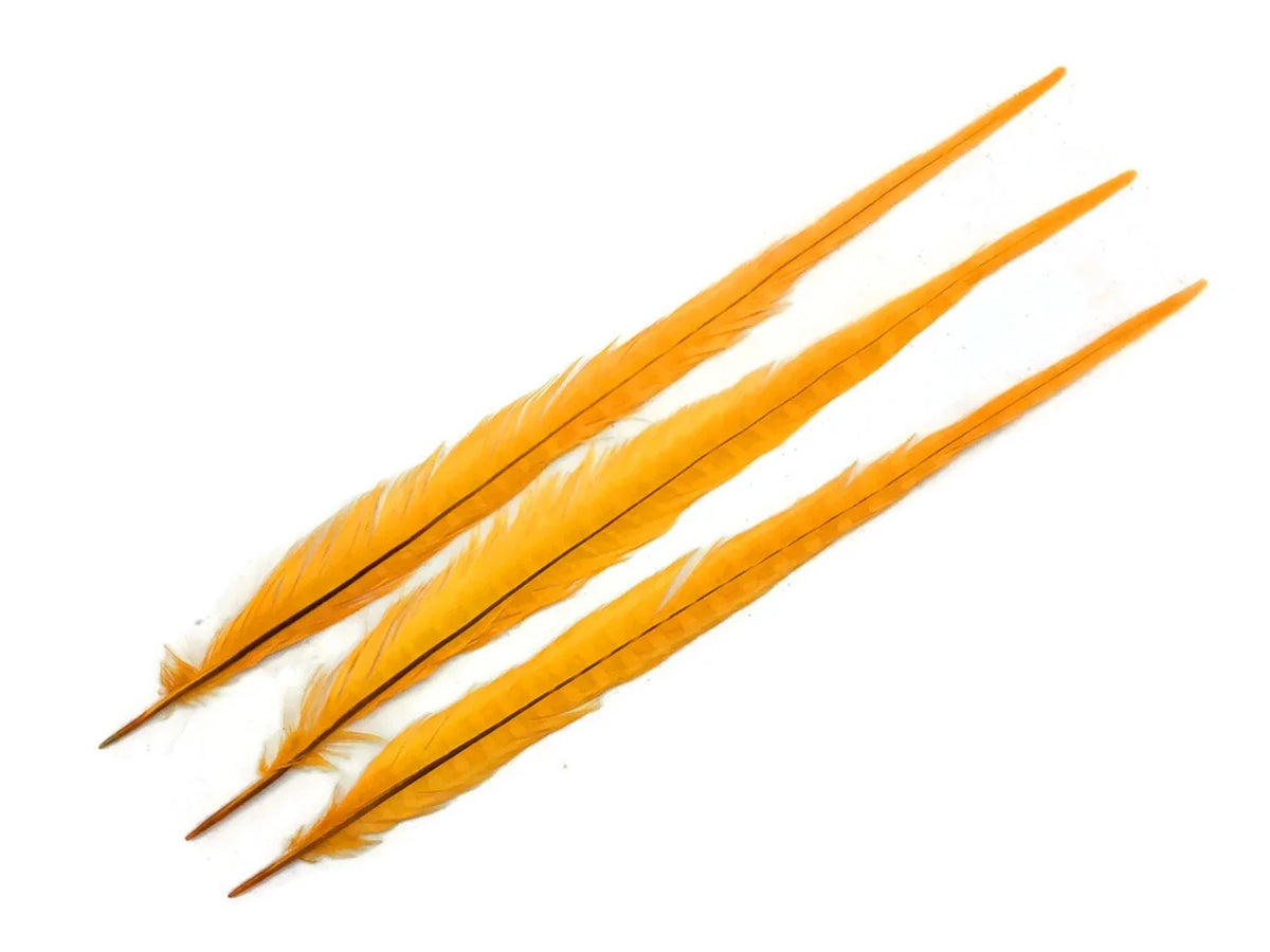 Three long vibrant orange feathers for fashion and DIY crafts on a white background