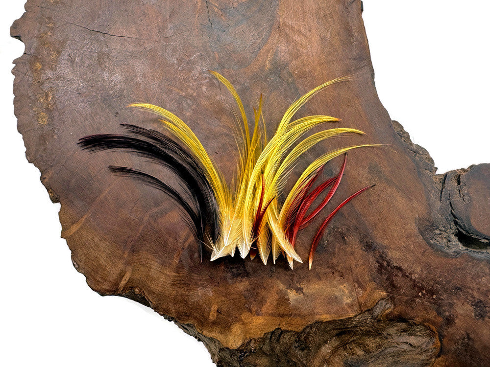 10 Pieces - Mini 1-2" Natural Gold Golden Pheasant Tippet Crest Feather