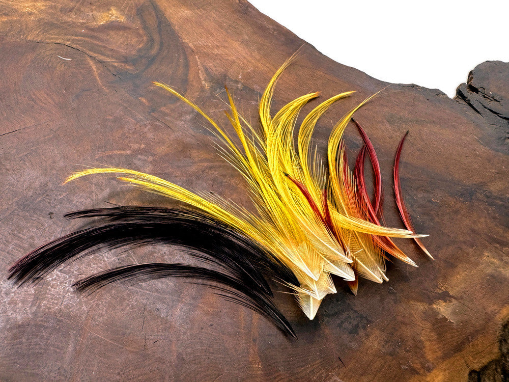 10 Pieces - Mini 1-2" Natural Gold Golden Pheasant Tippet Crest Feather