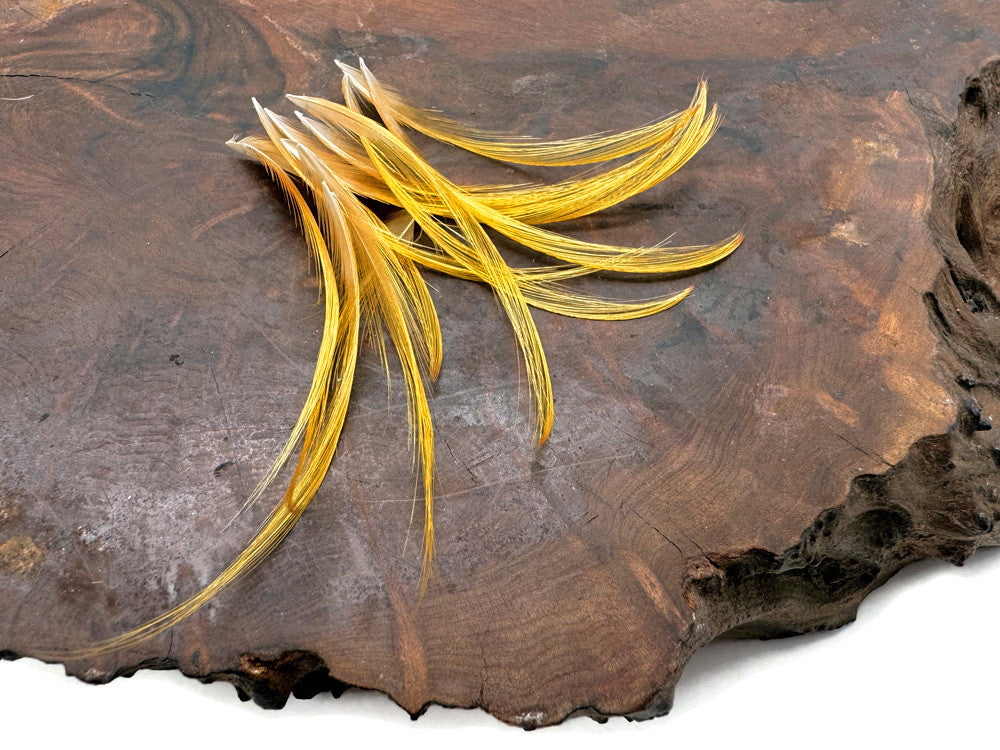 10 Pieces - Mini 1-2" Natural Gold Golden Pheasant Tippet Crest Feather