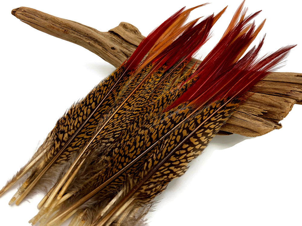 10 Pieces - 10-12" Natural Red Golden Pheasant Red Tip Loose Pointy Feathers