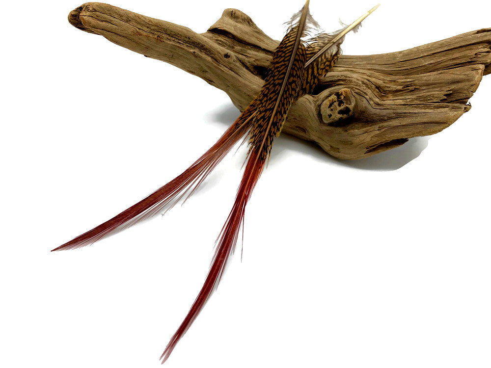 10 Pieces - 10-12" Natural Red Golden Pheasant Red Tip Loose Pointy Feathers