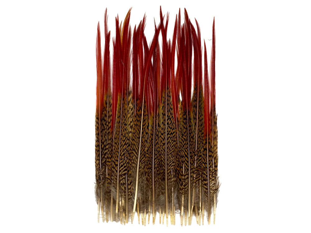 10 Pieces - 10-12" Natural Red Golden Pheasant Red Tip Loose Pointy Feathers