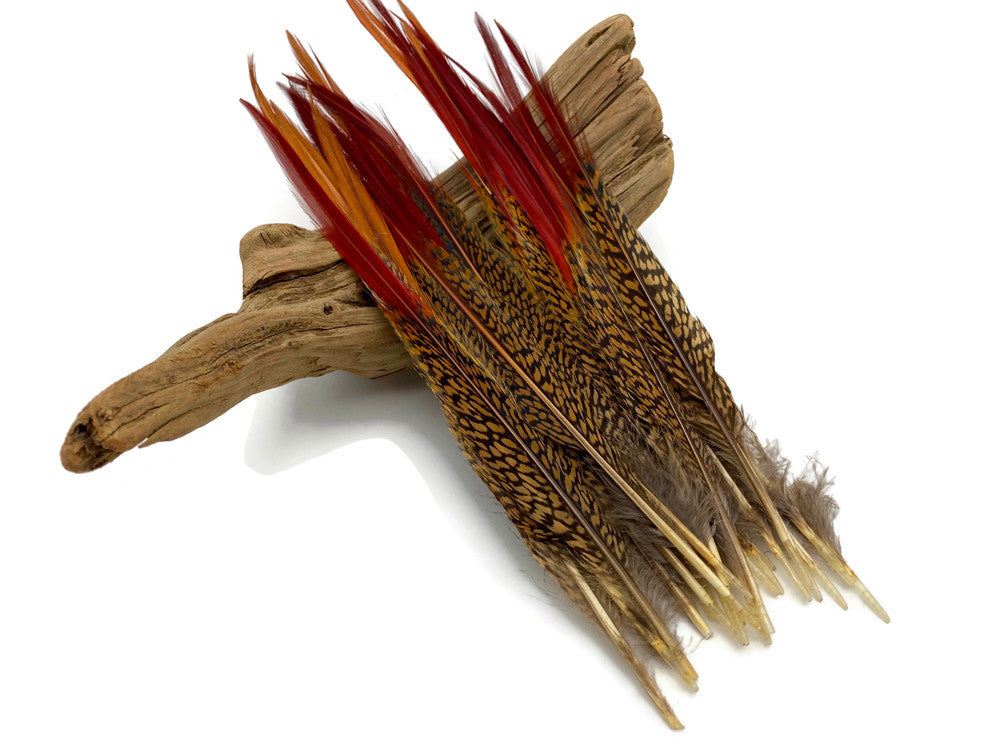 10 Pieces - 10-12" Natural Red Golden Pheasant Red Tip Loose Pointy Feathers