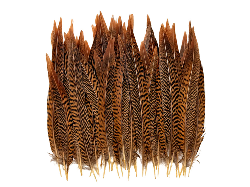 10 Pieces - 8-10" Natural Golden Pheasant Tail Feathers