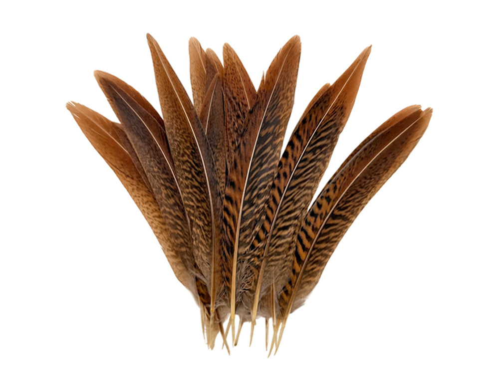 10 Pieces - 6-8" Natural Golden Pheasant Tail Feathers