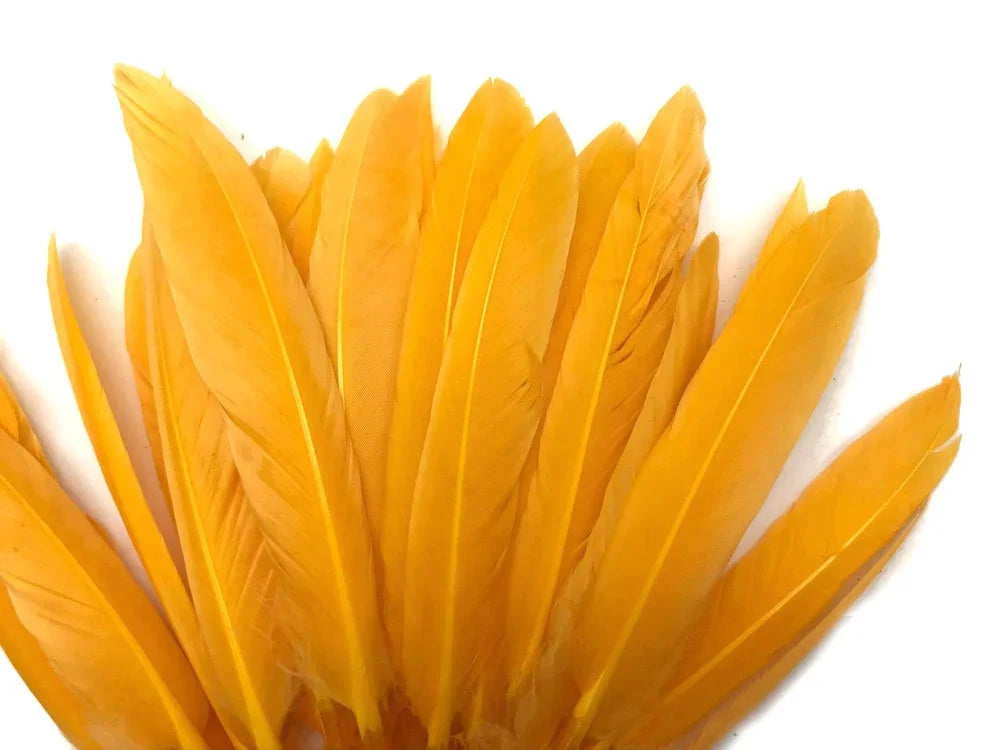 Vibrant yellow craft feathers arranged in a fan shape on a white background.