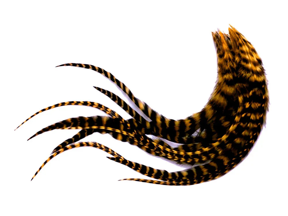 Striped brown and black pheasant feathers for DIY crafts and fashion decor.