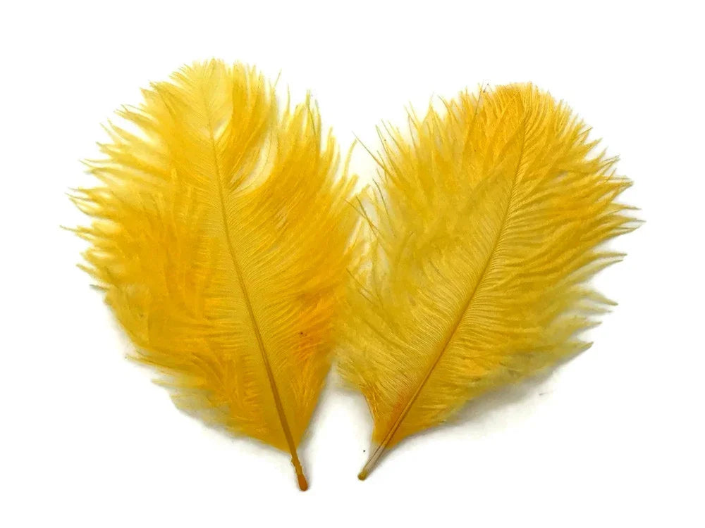 Two vibrant yellow ostrich feathers for DIY crafts and fashion decor