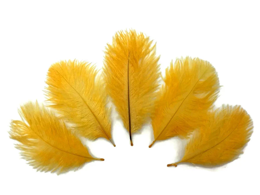 Five vibrant yellow ostrich feathers arranged in a fan shape on a white background.