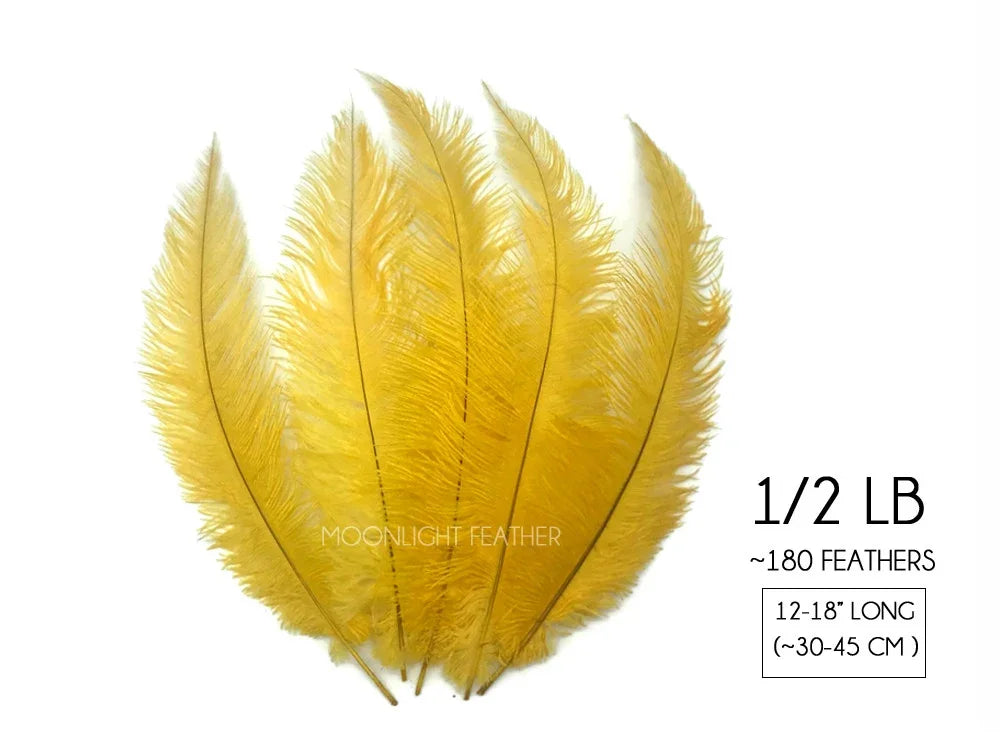 Yellow ostrich feathers for crafts and fashion decor, 12-18 inches long.