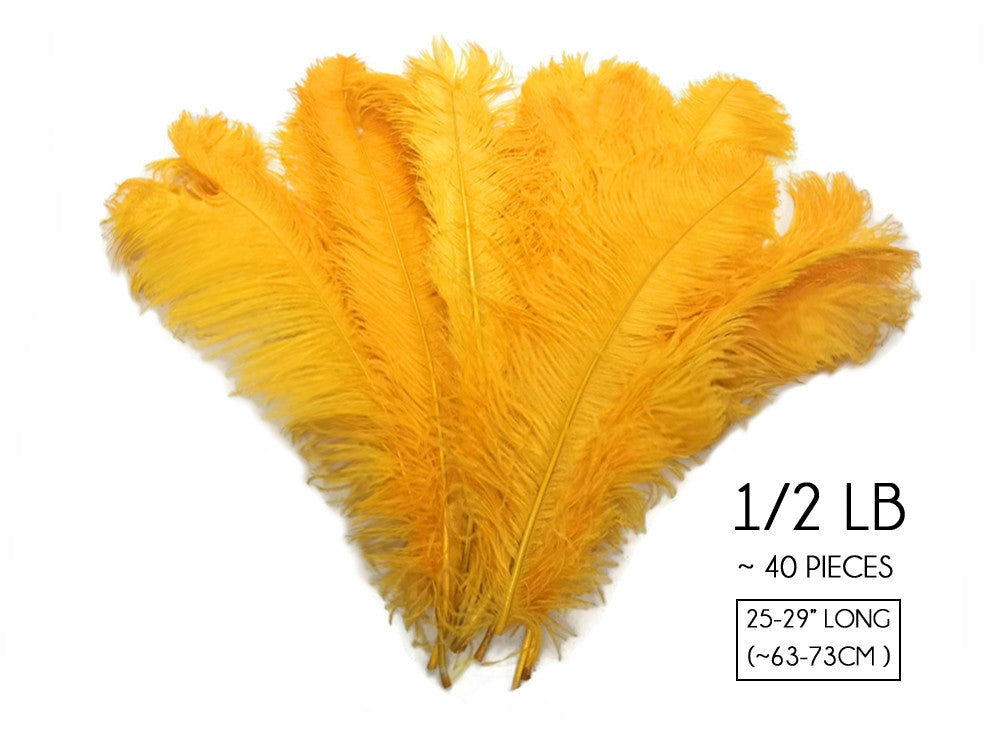 1/2 Lb. - 25-29" Golden Yellow Large Ostrich Wing Plume Wholesale Feathers (Bulk)