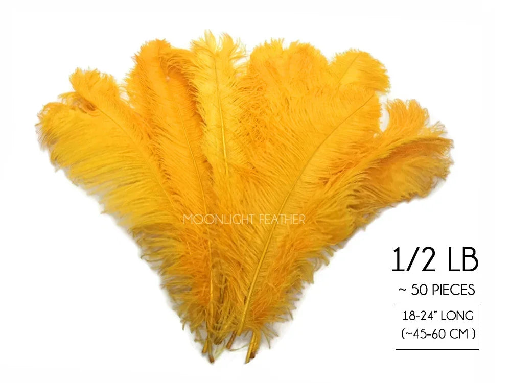 Vibrant yellow ostrich feathers for crafts and fashion decor, 18-24 inches long.