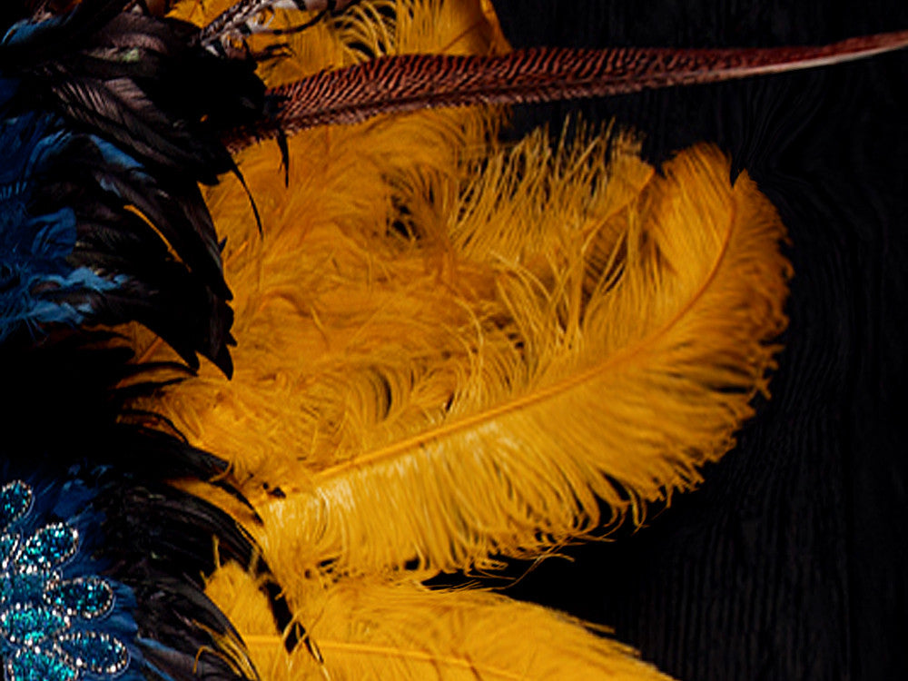 1/2 Lb. - 25-29" Golden Yellow Large Ostrich Wing Plume Wholesale Feathers (Bulk)