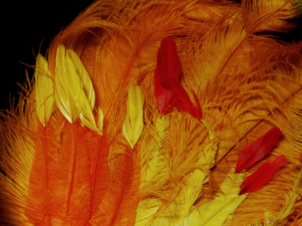 1/2 Lb. - 25-29" Golden Yellow Large Ostrich Wing Plume Wholesale Feathers (Bulk)